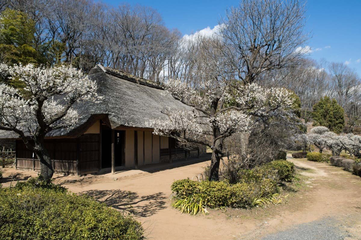 🏞️ 야쿠시이케 공원 (야쿠시이케 코엔) 이미지 9